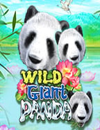 แนะนำสูตร คํา น วณ บา คา ร่า sa พร้อมวิธีทดลองเล่นสนุกๆ